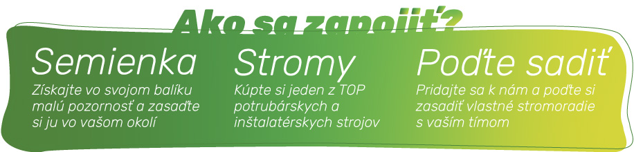 Ako sme sadili prvé stromy?